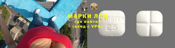 ГАЛЛЮЦИНОГЕННЫЕ ГРИБЫ Липки