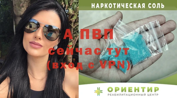 ГАЛЛЮЦИНОГЕННЫЕ ГРИБЫ Липки