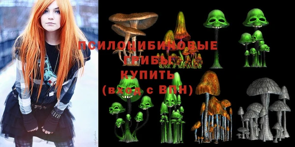 ГАЛЛЮЦИНОГЕННЫЕ ГРИБЫ Липки