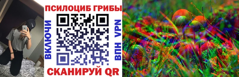 Галлюциногенные грибы мицелий  Хотьково 